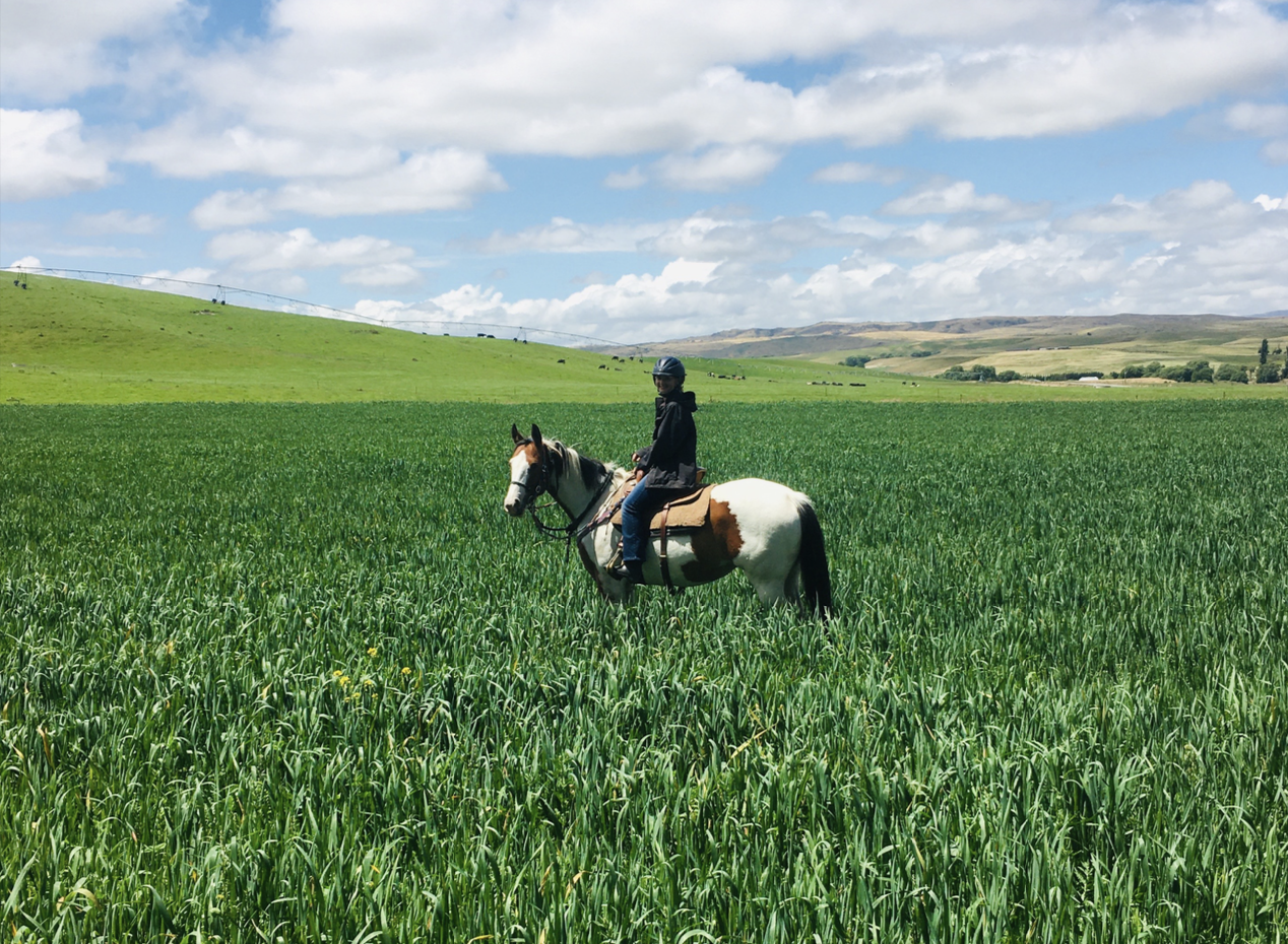 Nia with horses